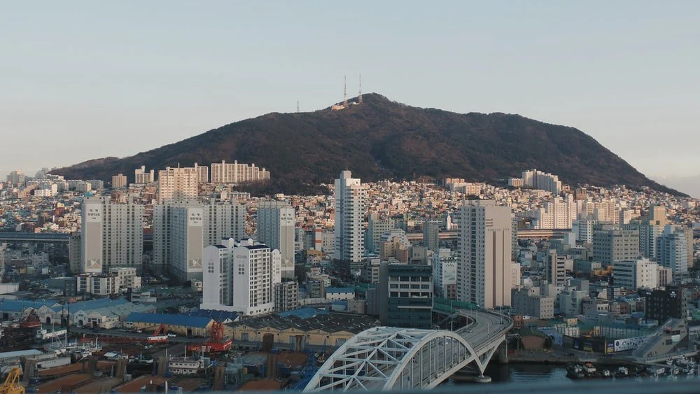 Paint By Numbers | Busan - Aerial Photo Of Buildings