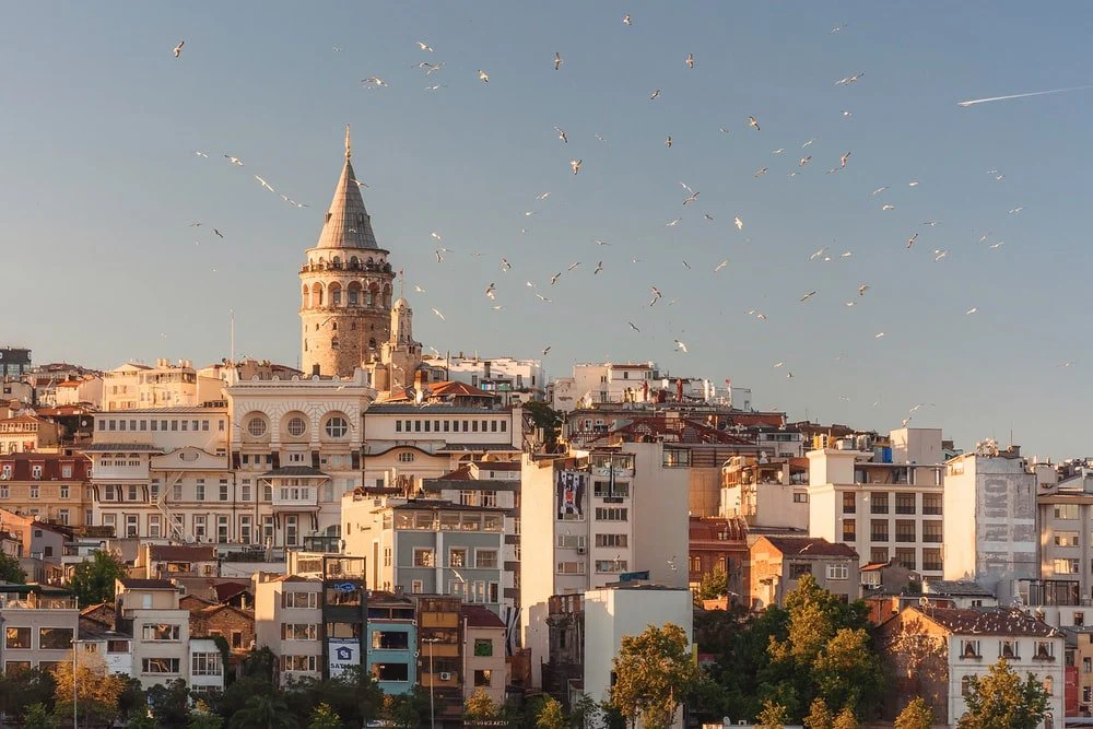 Paint By Numbers | Istanbul - Aerial View Of Buildings And Flying Birds