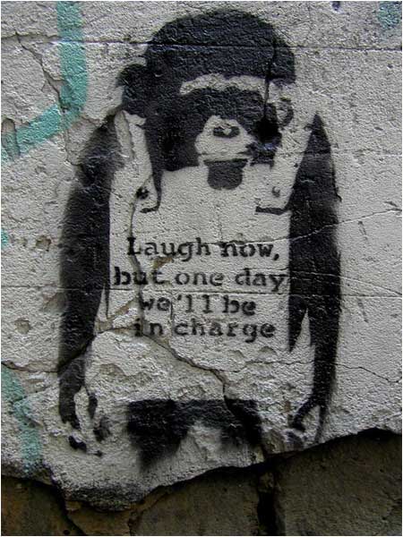 Banksy Monkey Laugh Now Graffiti