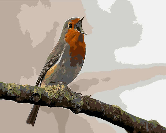 Paint By Numbers | Bird - Bird Singing On Tree