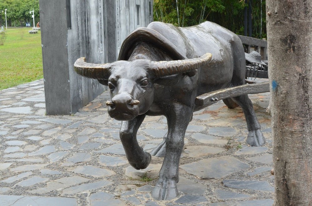 Paint By Numbers | Ox - Black Water Buffalo Statue On Gray Concrete Floor