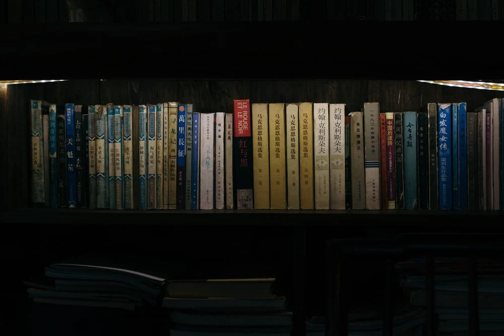 Paint By Numbers | Leshan - Books On Bookshelf