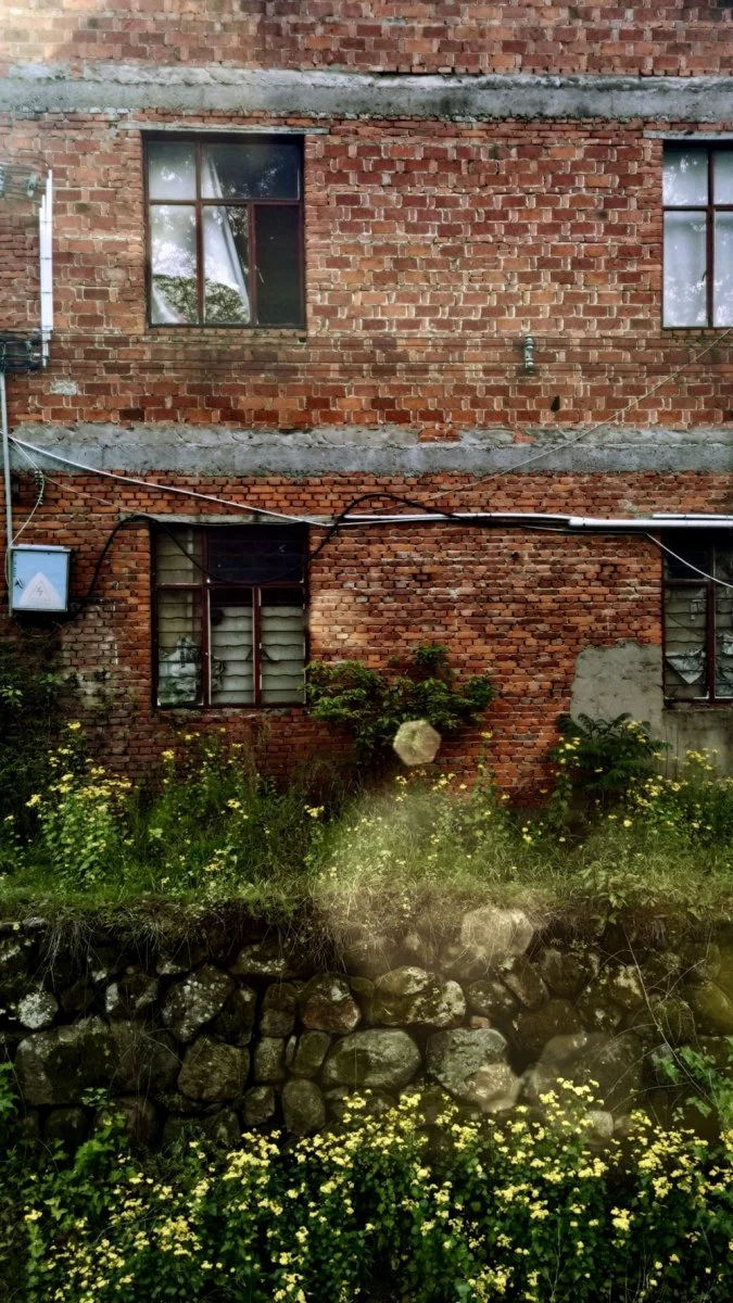 Paint By Numbers | Jinhua - Brown Brick Building With Green Grass And Green Plants