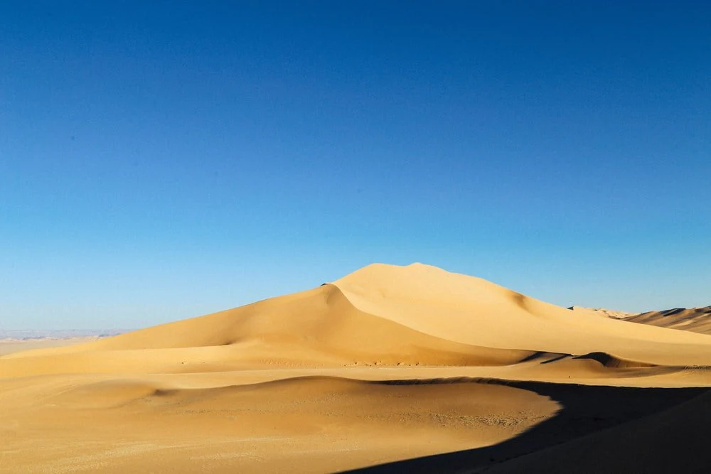 Paint By Numbers | Algiers - Brown Desert