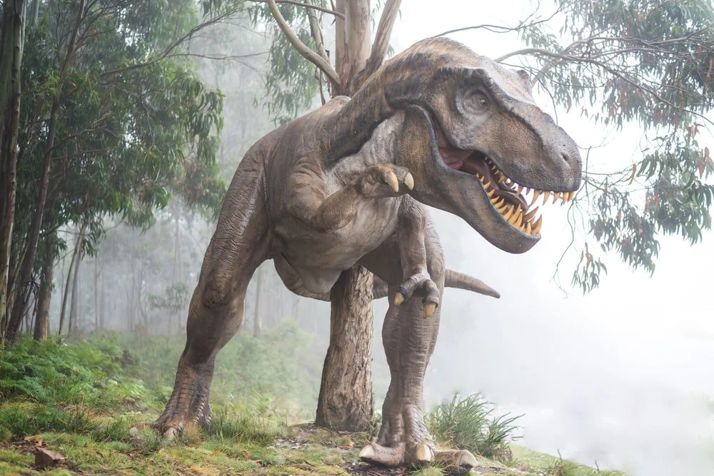 Paint By Numbers | Dinosaur - Brown Dinosaur Illustration