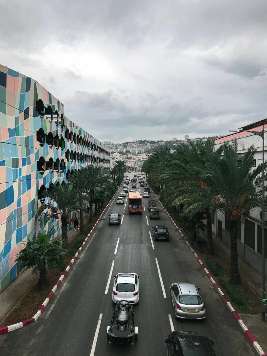 Paint By Numbers | Algiers - Cars Parked On Side Of Road Near Building During Daytime