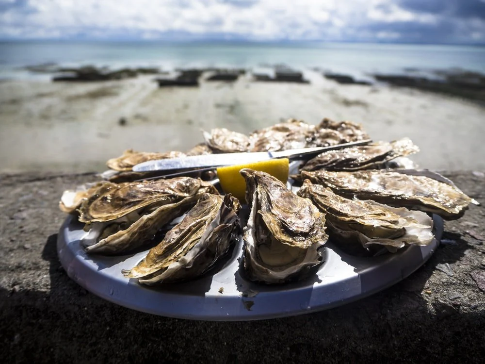Paint By Numbers | Oyster - Cooked Food On Round Plate