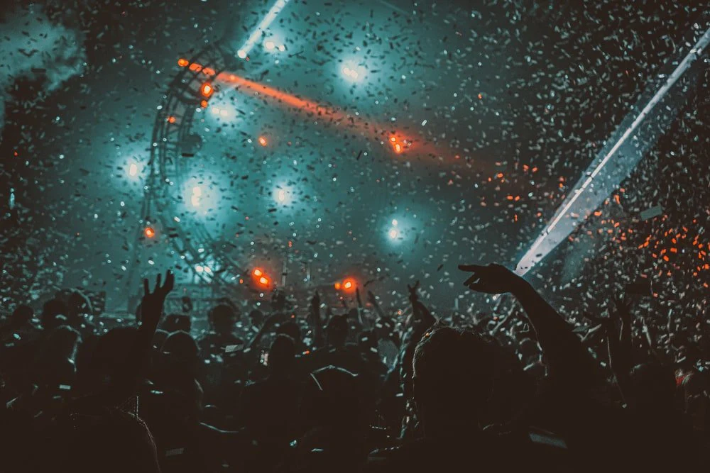 Paint By Numbers | Bass - Crowd Partying With Red Stage Lights