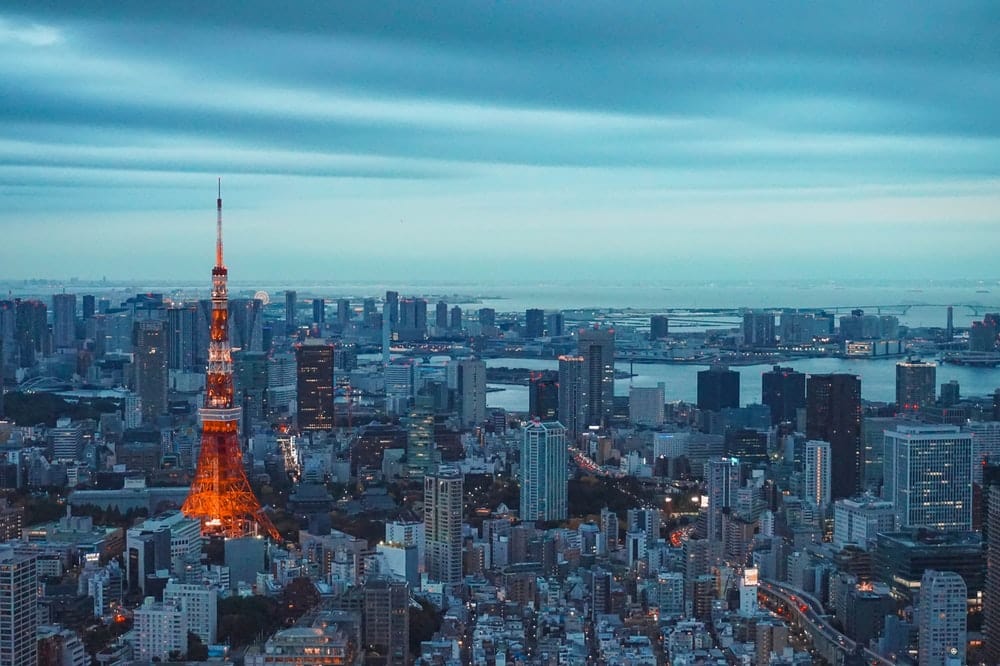 Paint By Numbers | Tokyo - Eiffel Tower, Paris During Dusk