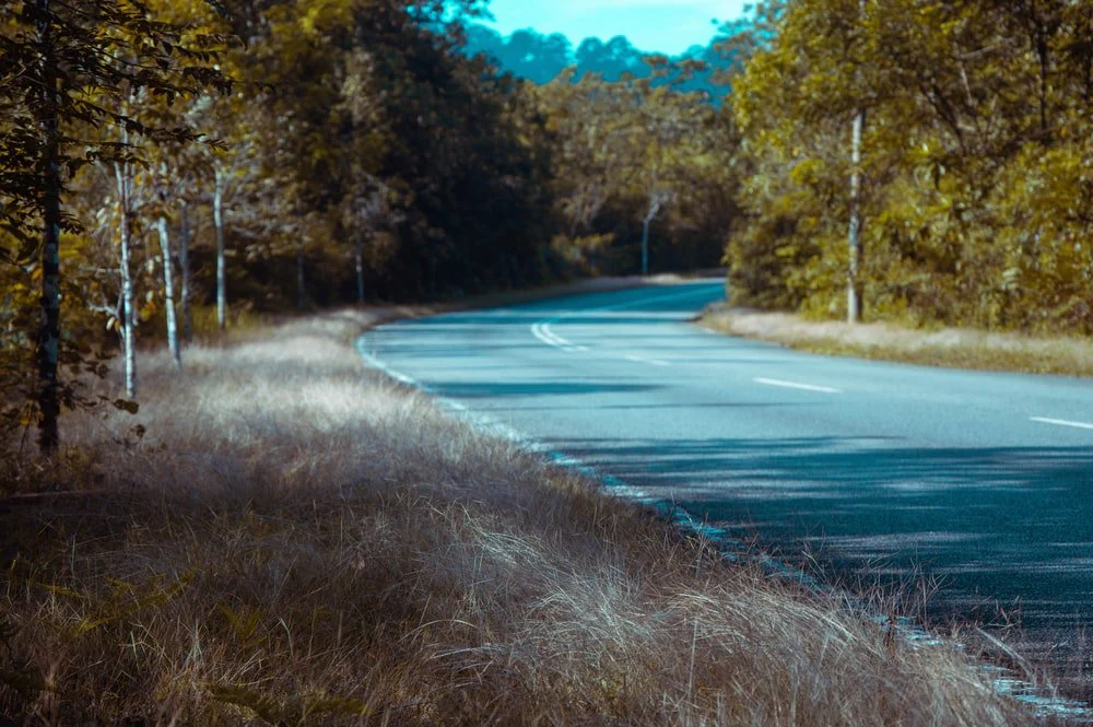 Paint By Numbers | Armadillo - Empty Highway