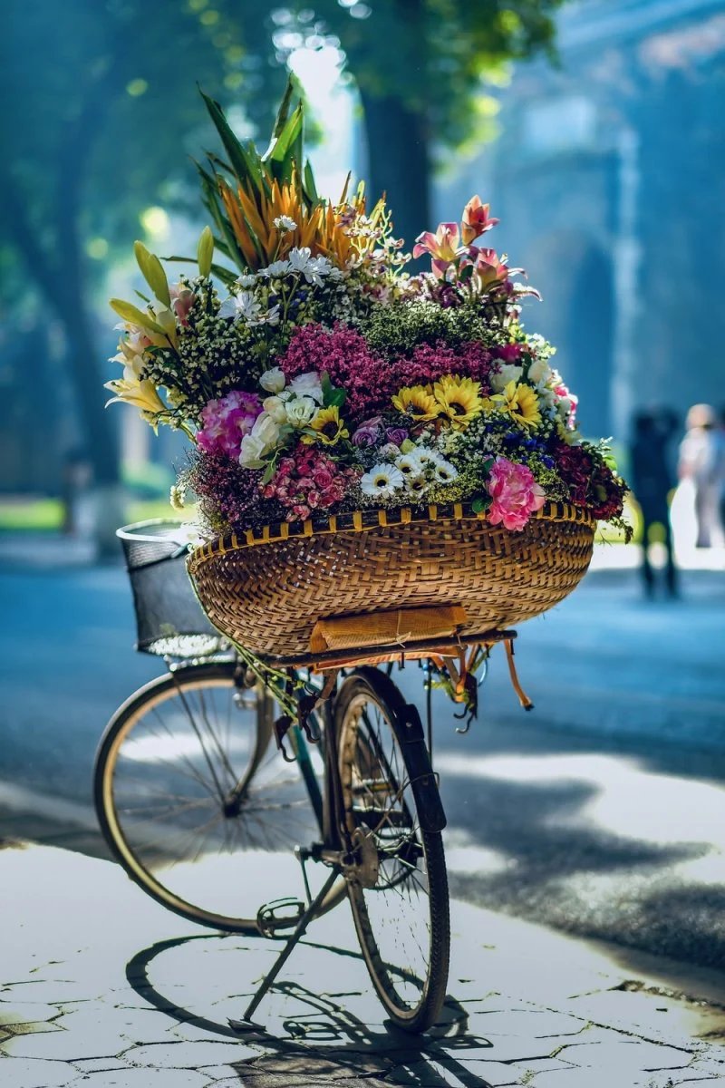 Paint By Numbers | Hanoi - Flowers In Brown Woven Basket On Bicycle