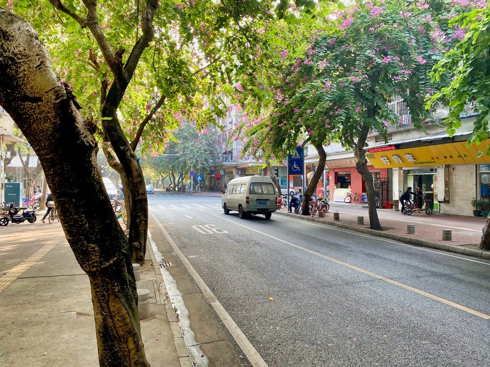 Paint By Numbers | Foshan - Gray Van On Road Between Trees
