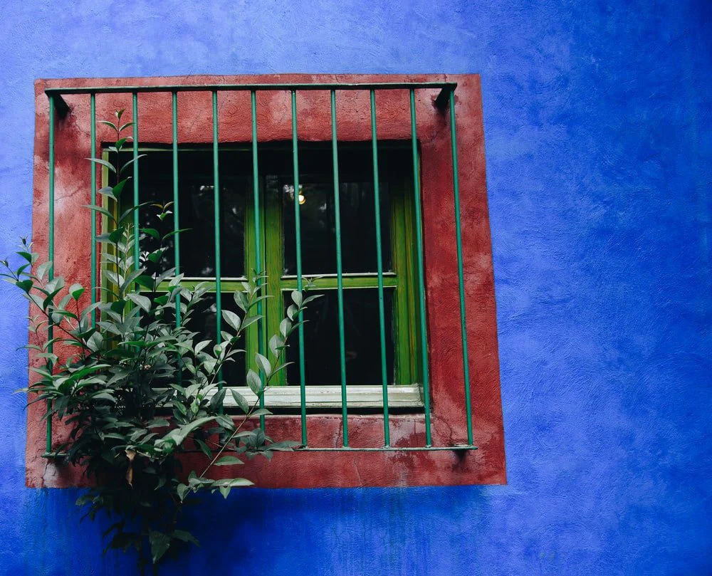 Paint By Numbers | Green-Leafed Plant On Window