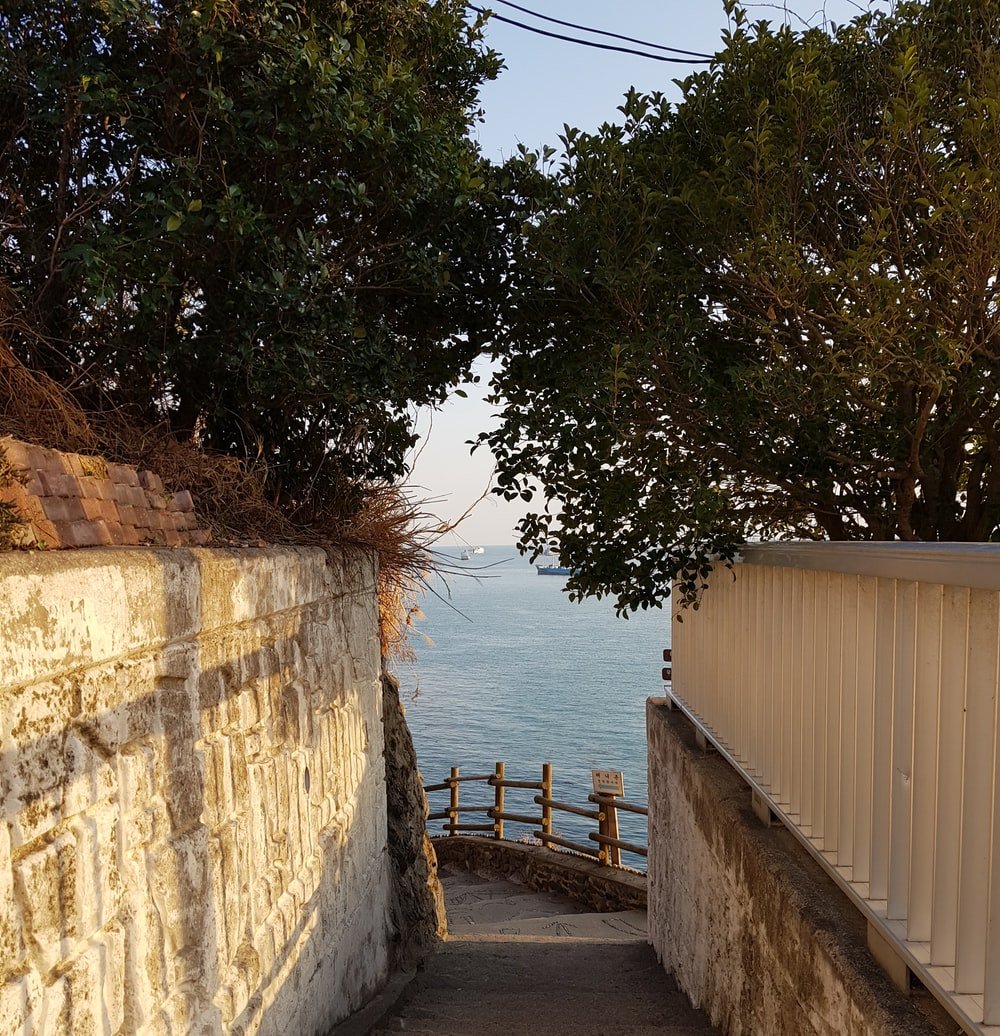 Paint By Numbers | Busan - Green Tree Beside Brown Concrete Wall