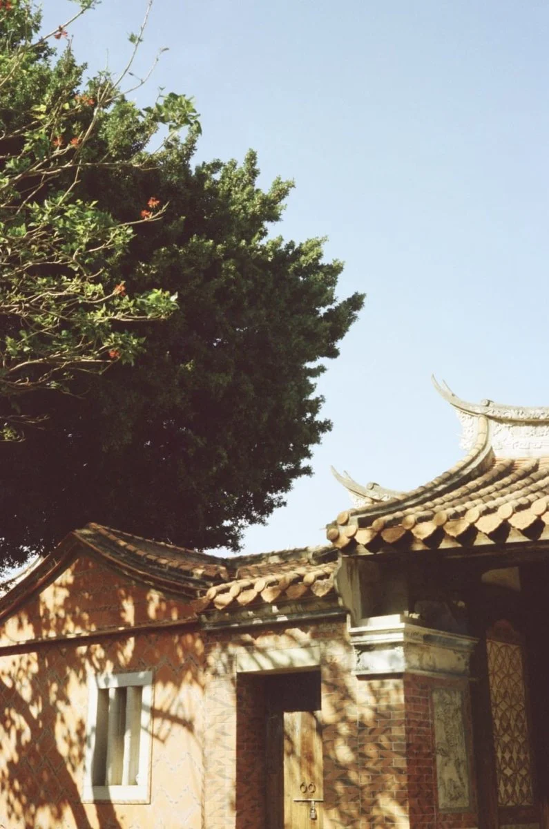 Paint By Numbers | Quanzhou - Green Tree Near Brown And White House