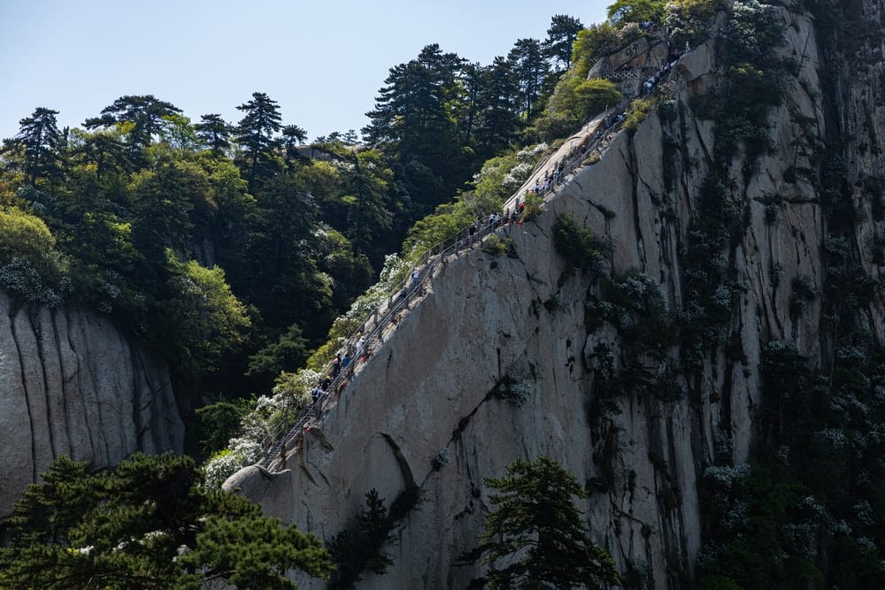 Paint By Numbers | Weinan - Green Trees On Mountain During Daytime