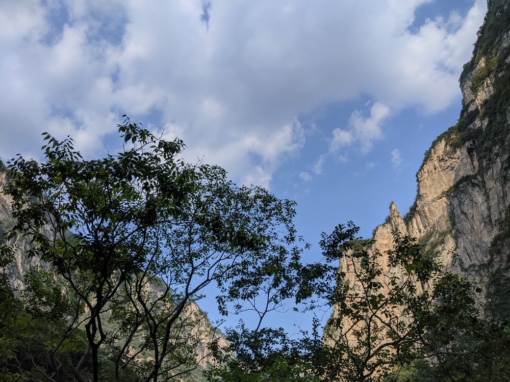 Paint By Numbers | Jiaozuo - Green Trees Under Blue Sky During Daytime