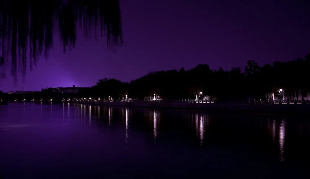 Paint By Numbers | Yangzhou - Lighted Buildings Near Body Of Water At Night