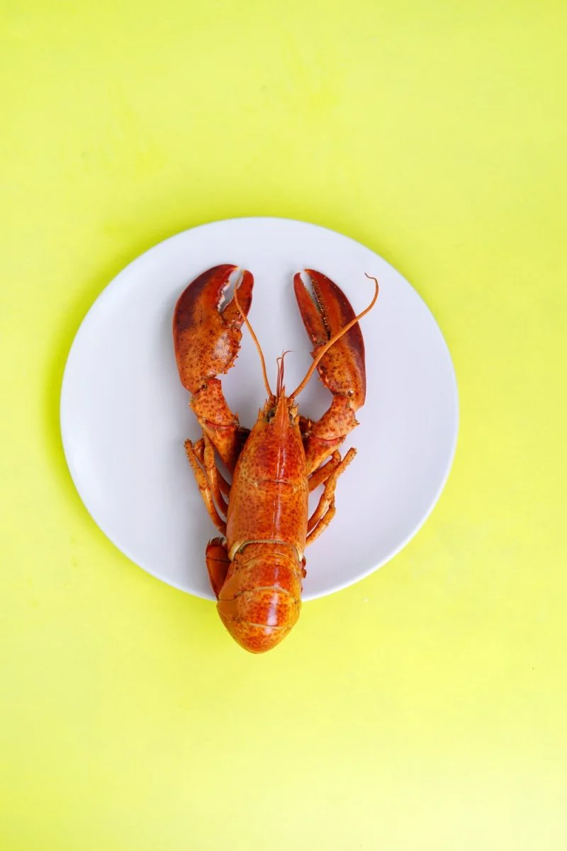 Paint By Numbers | Lobster - Lobster On White Saucer