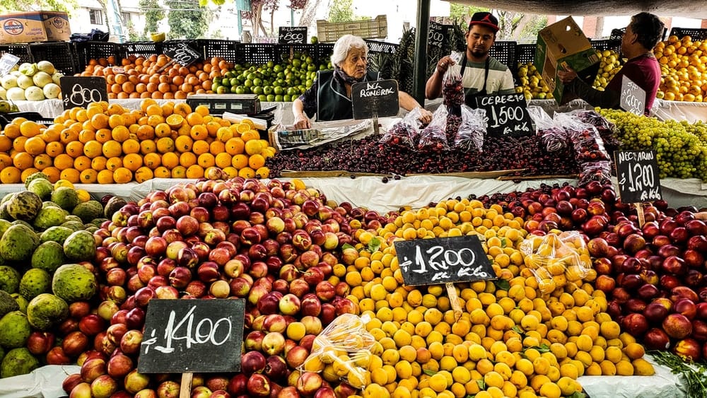 Paint By Numbers | Santiago - Lots Of Fruits Photo During Daytime