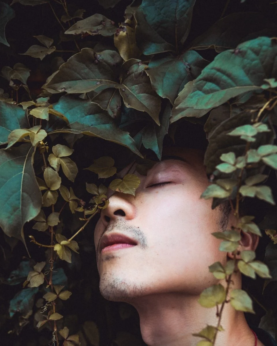 Paint By Numbers | Dongguan - Mans Face On Green Leaves