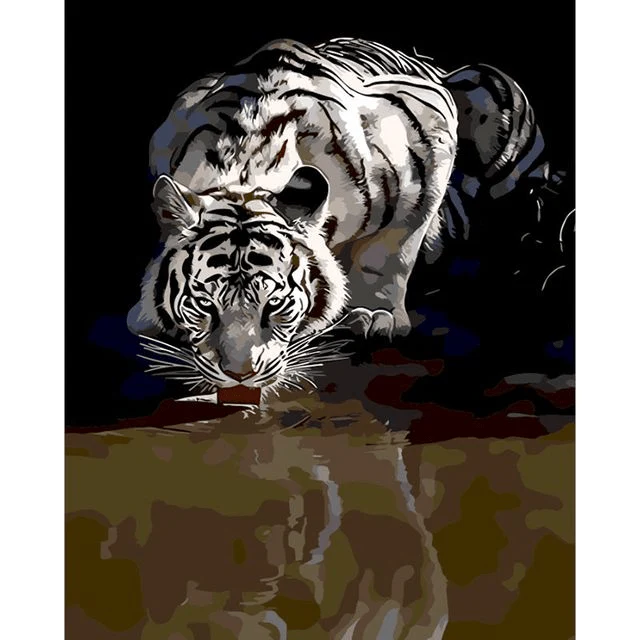 Paint By Numbers | White Tiger Reflection