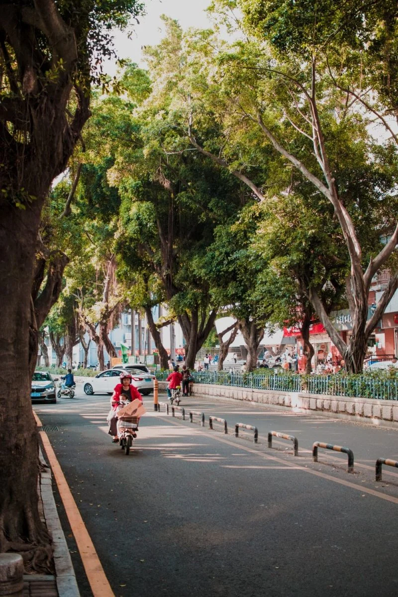 Paint By Numbers | Shenzhen - People Riding Bicycles On Road During Daytime