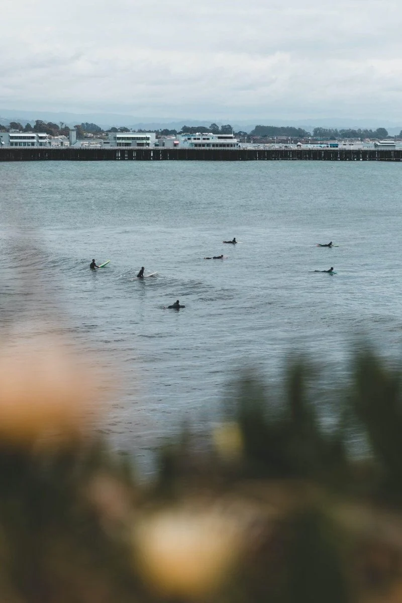 Paint By Numbers | Santa Cruz - People Surfing During Daytime