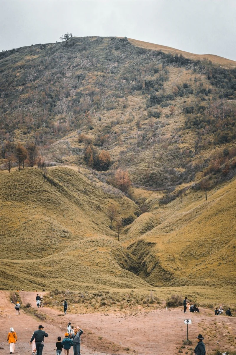 Paint By Numbers | Aardvark - People Walking Near Mountain