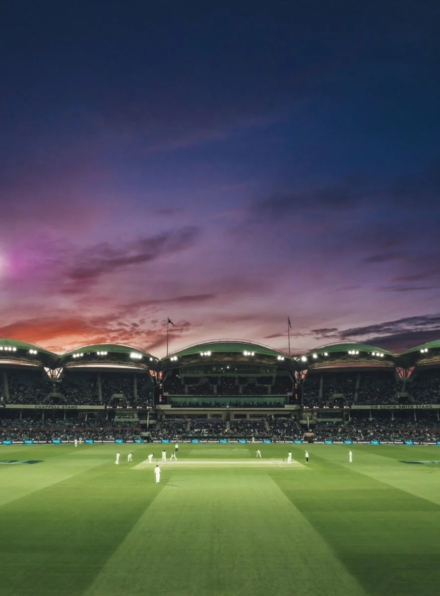 Paint By Numbers | Cricket - People Watching Game Of Cricket During Sunset