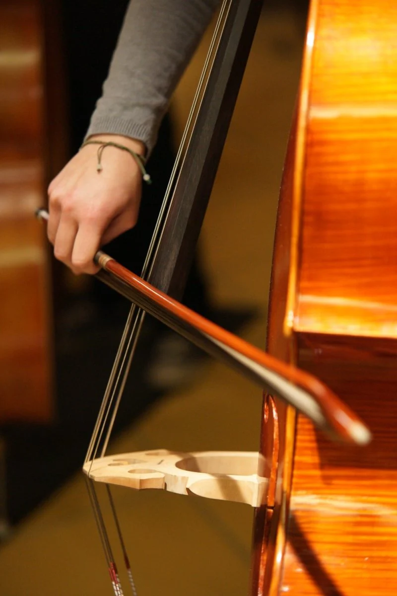Paint By Numbers | Bass - Person Playing Cello