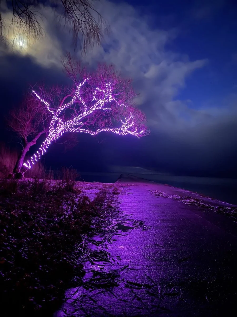 Paint By Numbers | Purple And Blue Fireworks Display