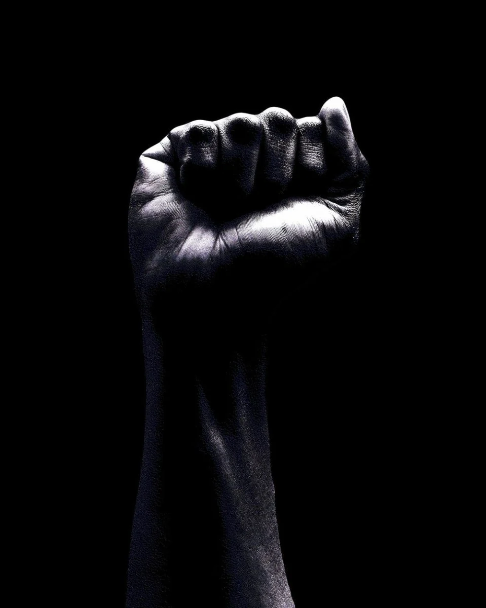 Paint By Numbers | Black Panther - Raised Fist