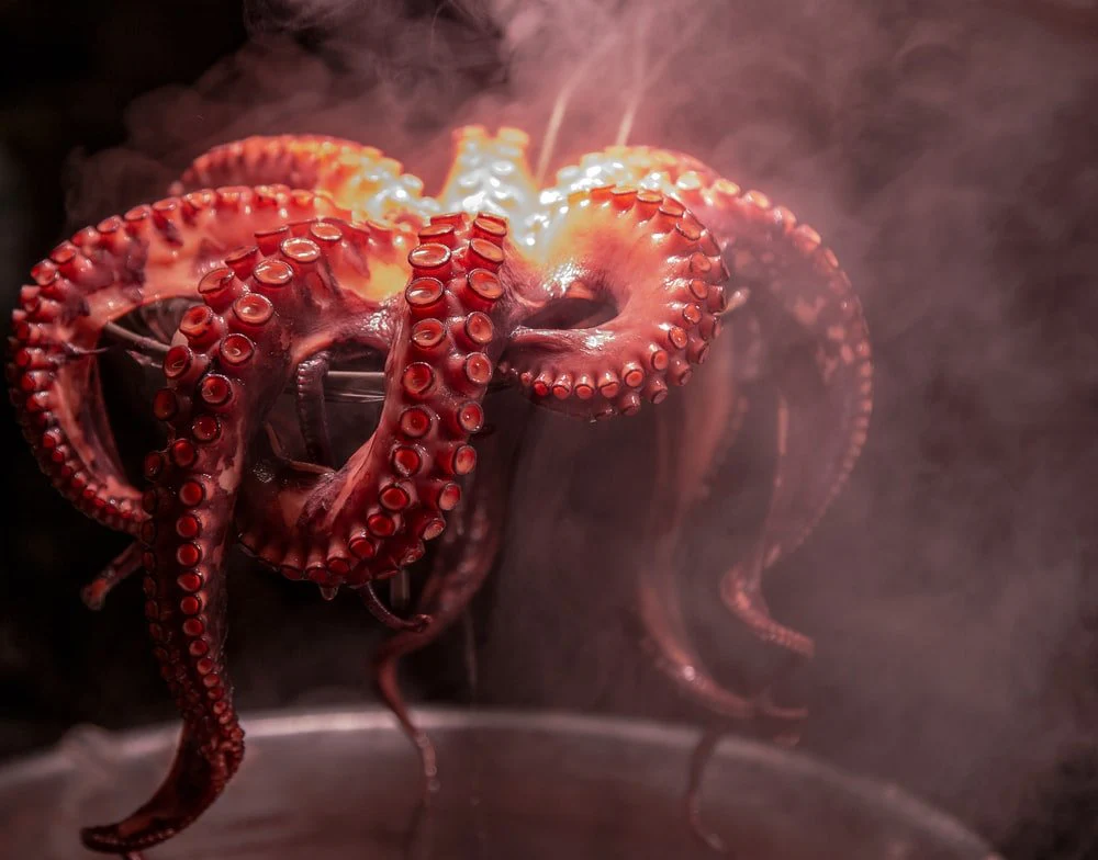 Paint By Numbers | Octopus - Red And Blue Light Digital Wallpaper