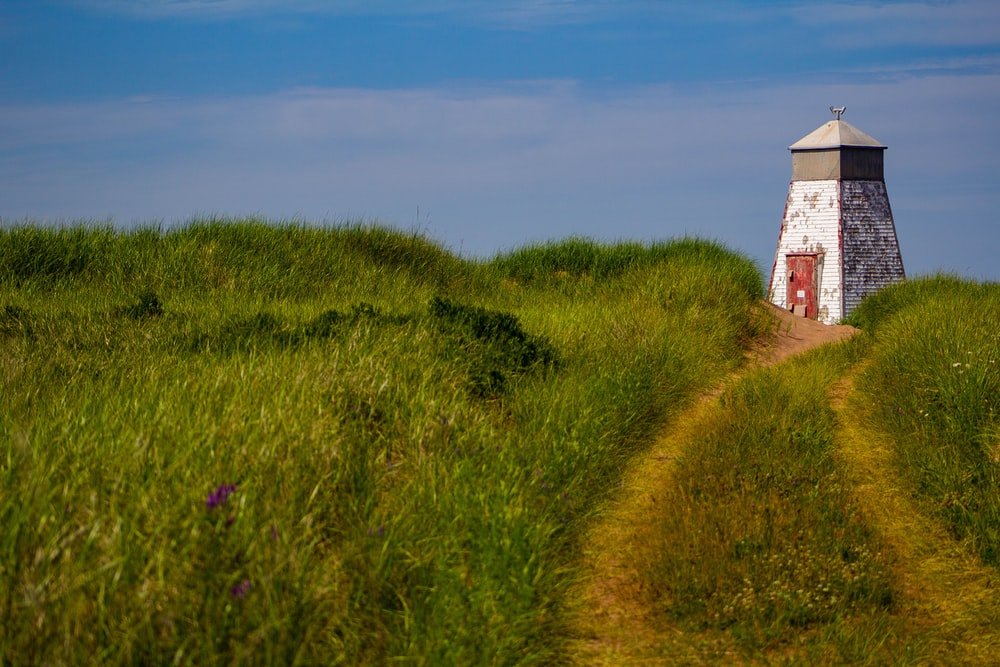 Paint By Numbers | Red And White House On Green Grass Field Under Blue Sky During Daytime