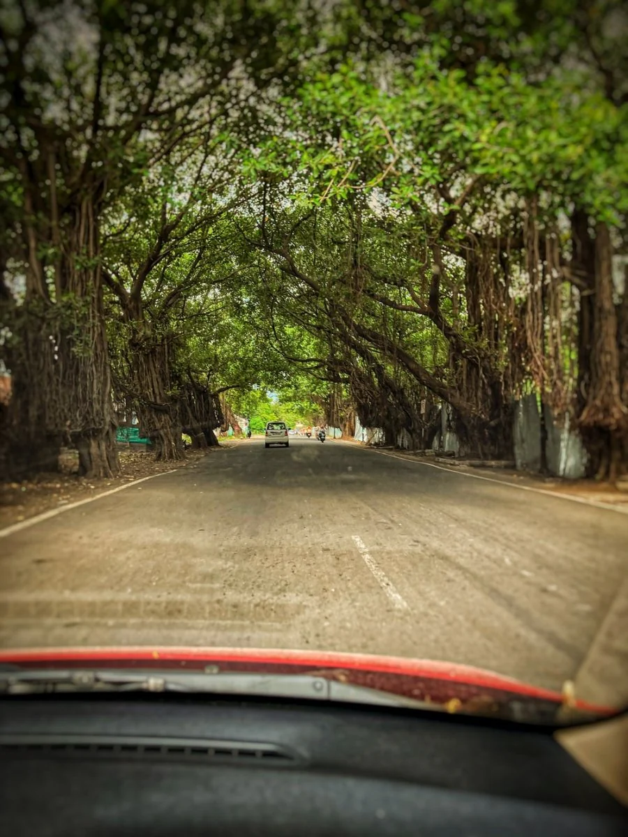 Paint By Numbers | Pune - Red Car On Road Between Trees During Daytime
