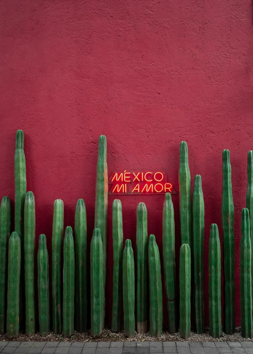 Paint By Numbers | Red Painted Wall With Green Cactus Plants