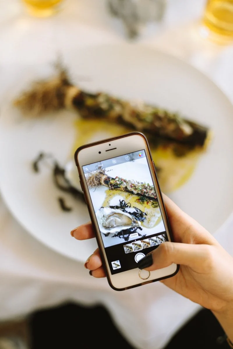 Paint By Numbers | Oyster - Silver Iphone 6