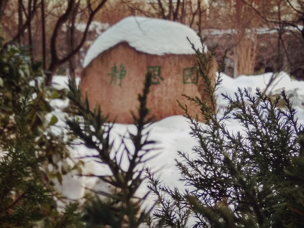 Paint By Numbers | Xinyang - Snow Covered Wooden House Surrounded By Trees