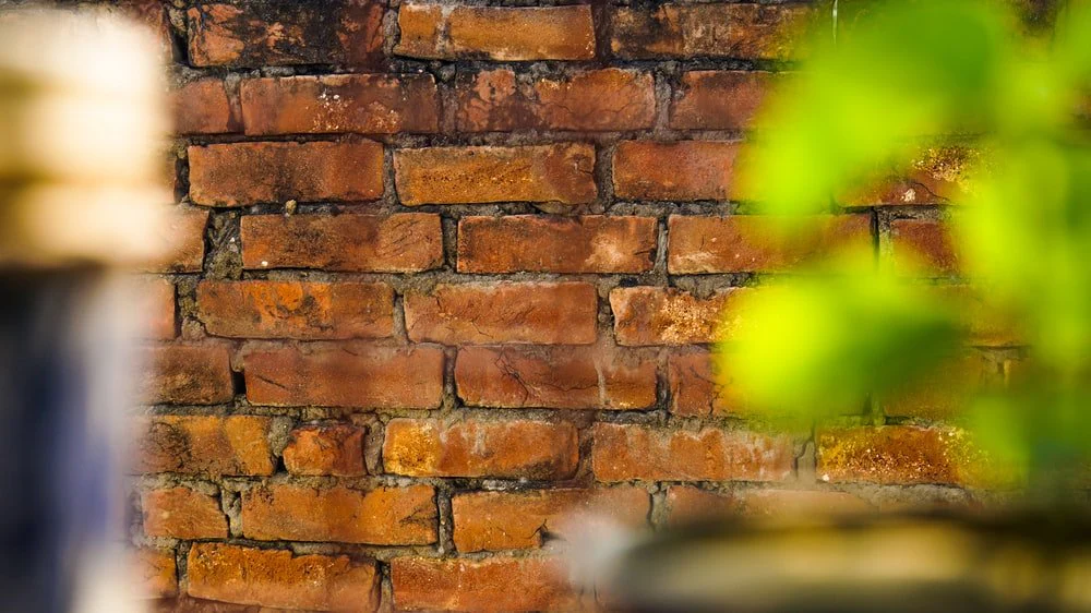 Paint By Numbers | Lucknow - Tilt-Shift Photography Of Brown Brick Wall
