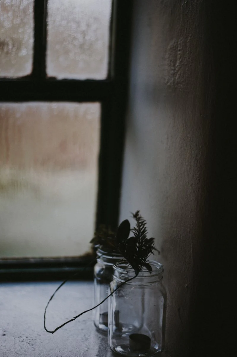 Paint By Numbers | Black Widow Spider - Two Clear Glass Jars Near Window