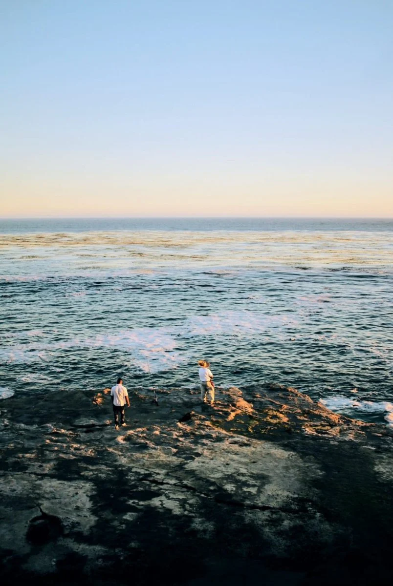 Paint By Numbers | Santa Cruz - Two Person Standing In Front Of Shoreline