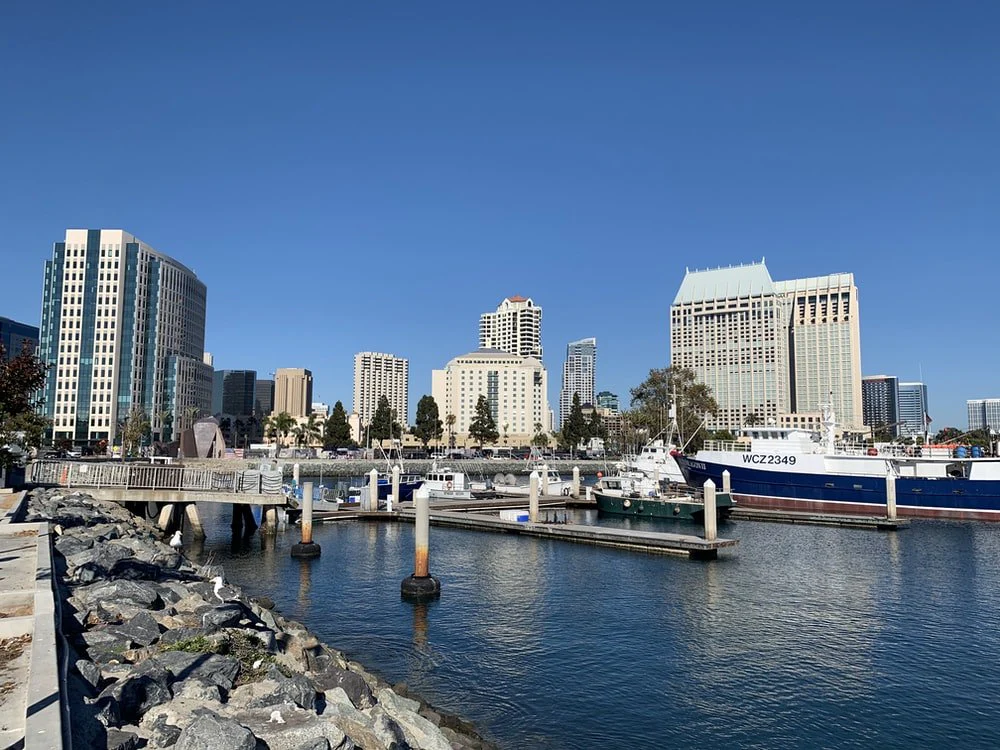 Paint By Numbers | San Diego - White And Blue Boat On Sea Near City Buildings During Daytime