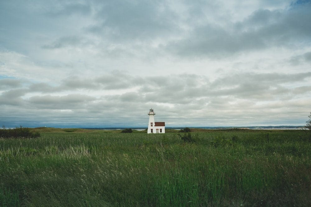 Paint By Numbers | White Lighthouse Surrounded By Grass Field - Image 2