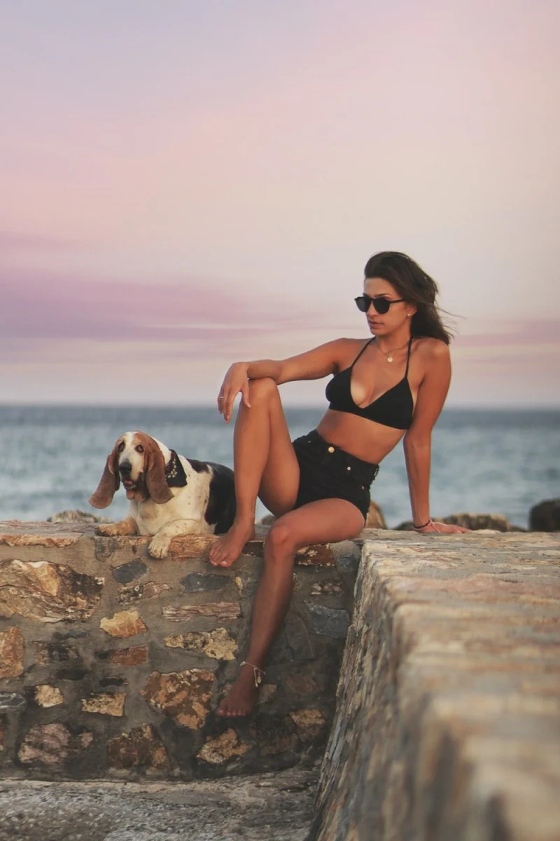 Paint By Numbers | Basset Hound - Woman In Black Bikini Sitting On Rock Near Sea During Daytime