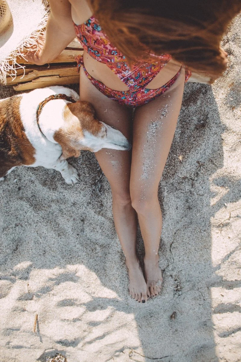 Paint By Numbers | Basset Hound - Woman In Pink And White Bikini Lying On Sand Beside Brown And White Short Coated Dog